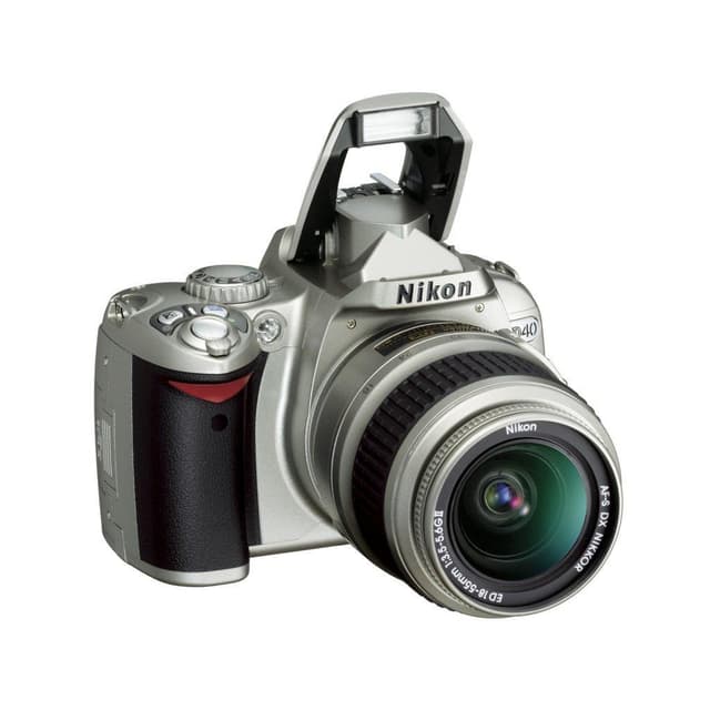 D40 SLR - Grigio + Nikon AF-S DX Nikkor 18-55mm f/3.5-5.6G ED II f/3.5-5.6