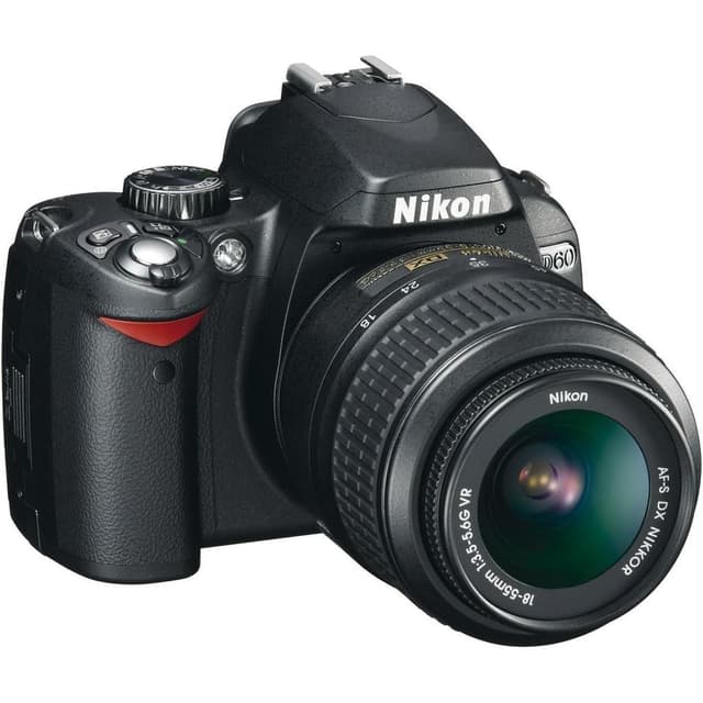 Nikon D60 AF-S NIKKOR 18-55mm 1:3.5-5.6 G 55-200mm 1:4-5.6