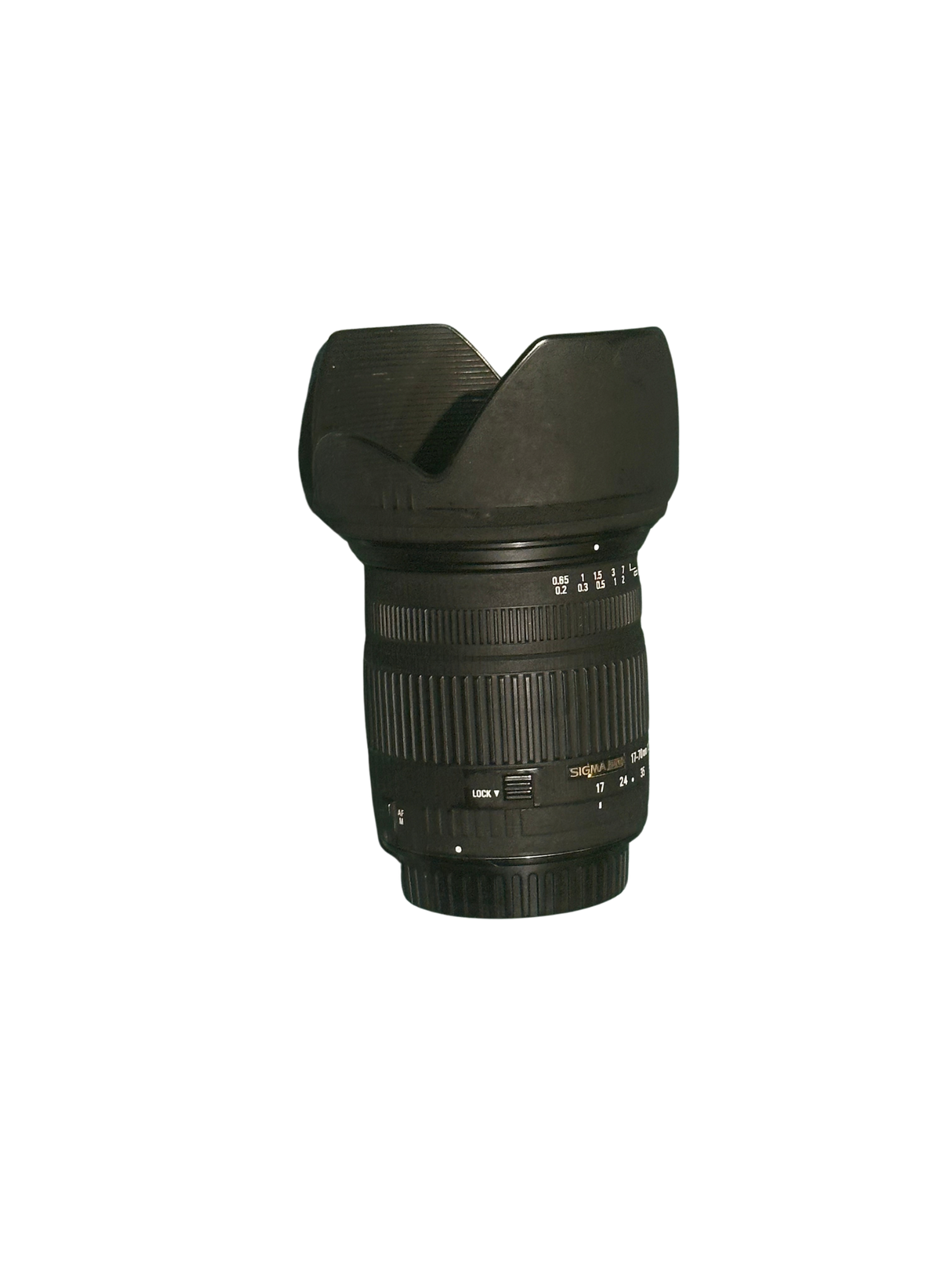 Canon y SigmaEOS 90D y 17-70mmca7ef448-c9ab-4c1f-b6c8-6583a2d30a34