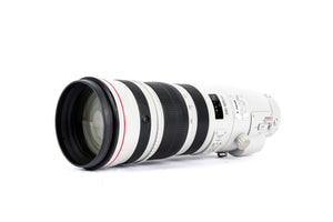 Canon EF 200-400mm f/4 L IS USM with 1.4x Extender