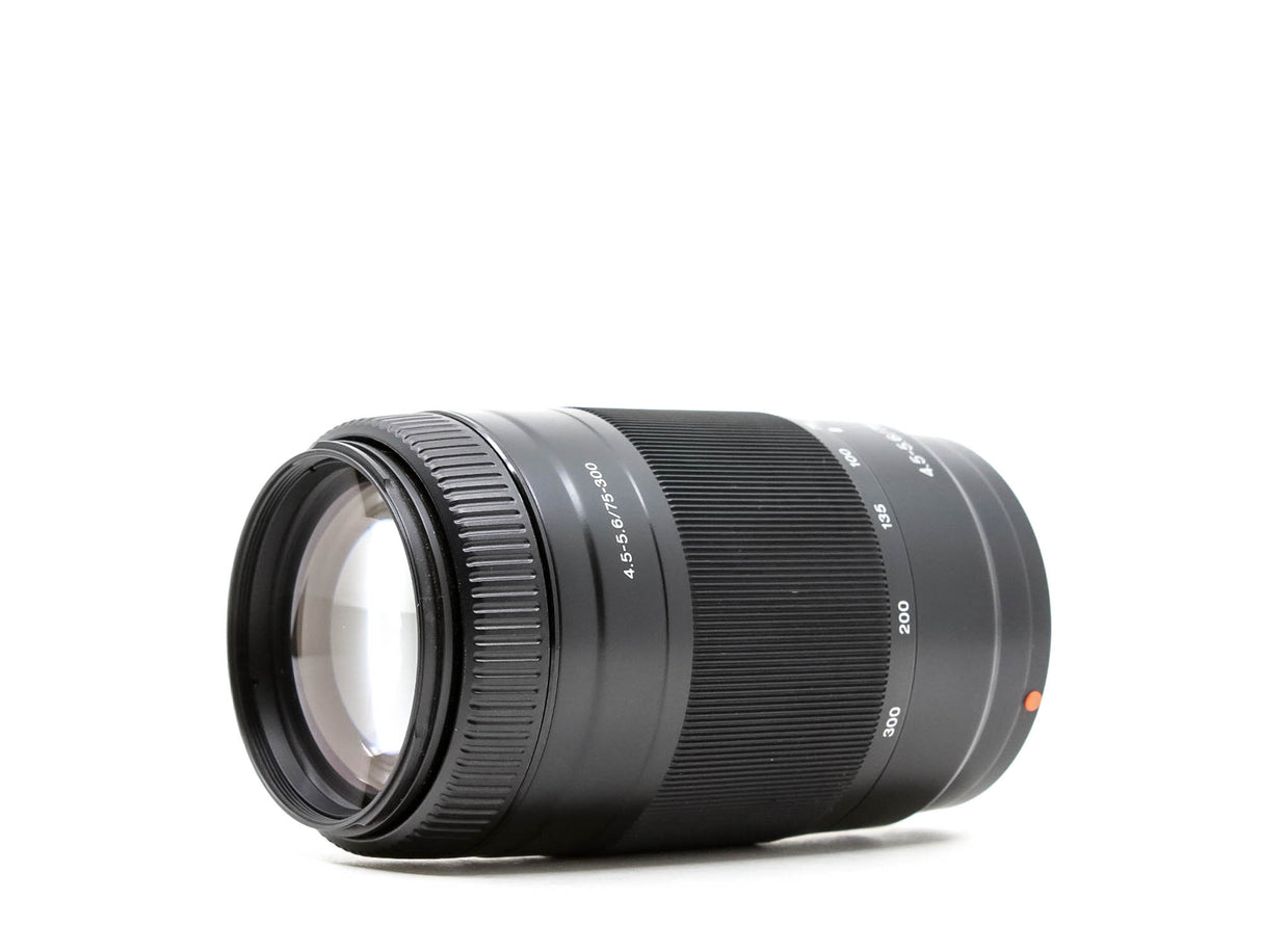 Sony 75-300mm f/4.5-5.6 - Sony A fit