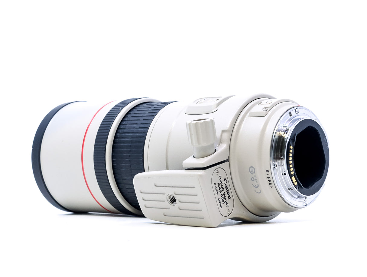 Canon EF 300mm f/4 L IS USM