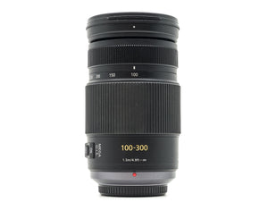 Panasonic Lumix G Vario 100-300mm f/4-5.6 Mega O.I.S.