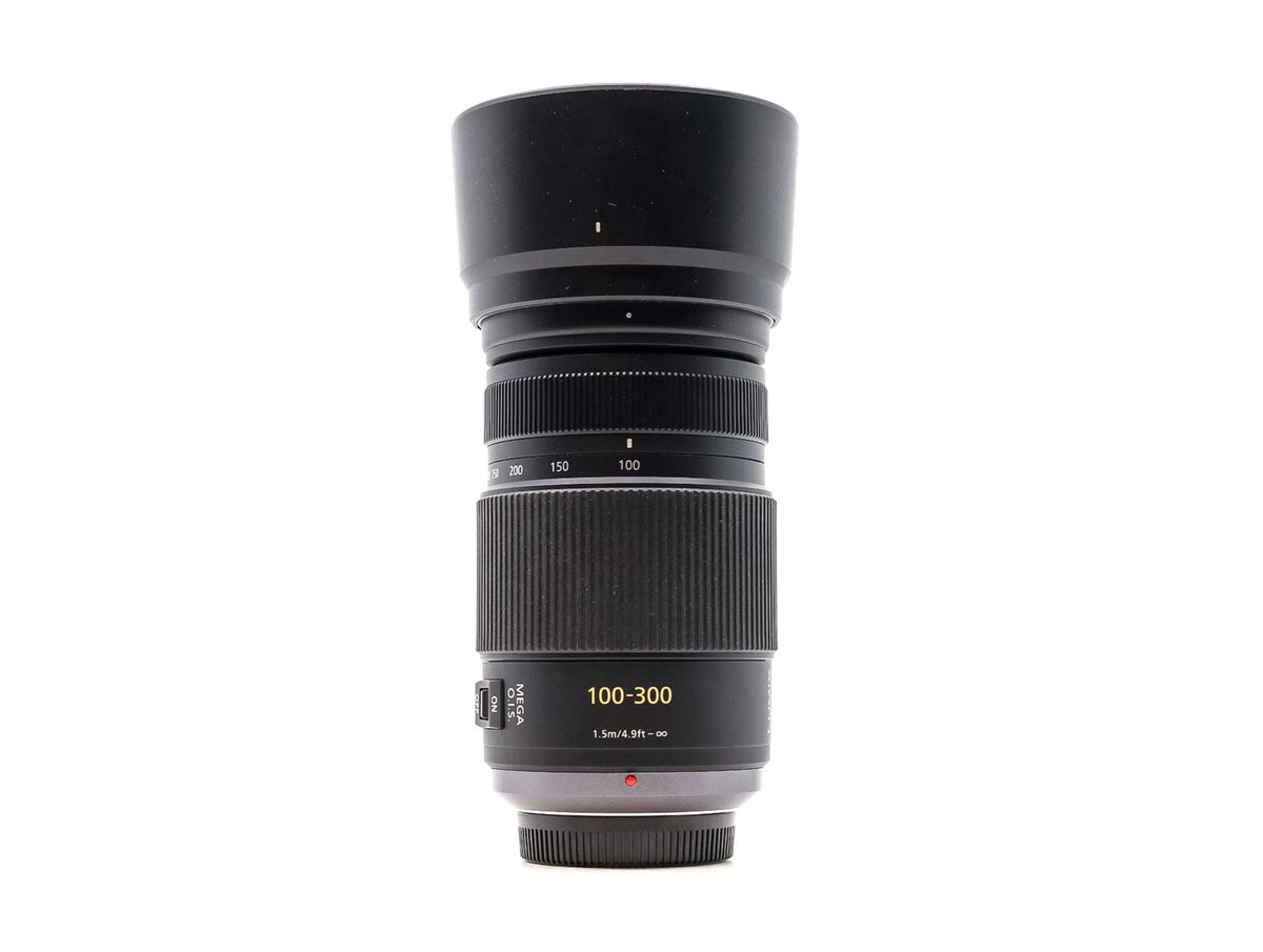 Panasonic Lumix G Vario 100-300mm f/4-5.6 Mega O.I.S. · main image